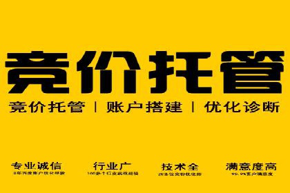 某某sem广告公司专案解读：SEM在旅游行业的成功实践